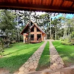 Bosque das Araucárias