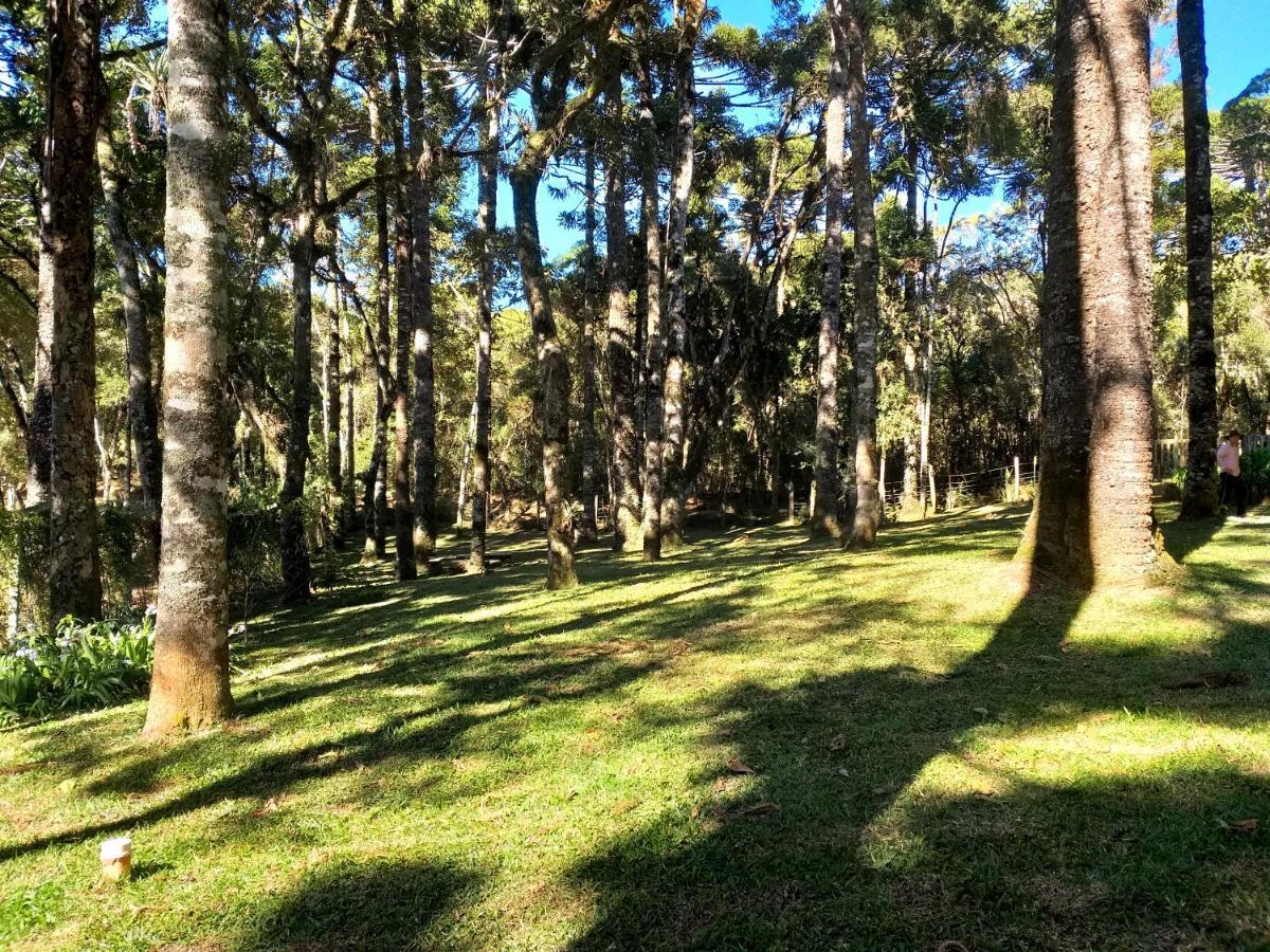 Bosque Araucarias Casa de férias Campos do Jordão