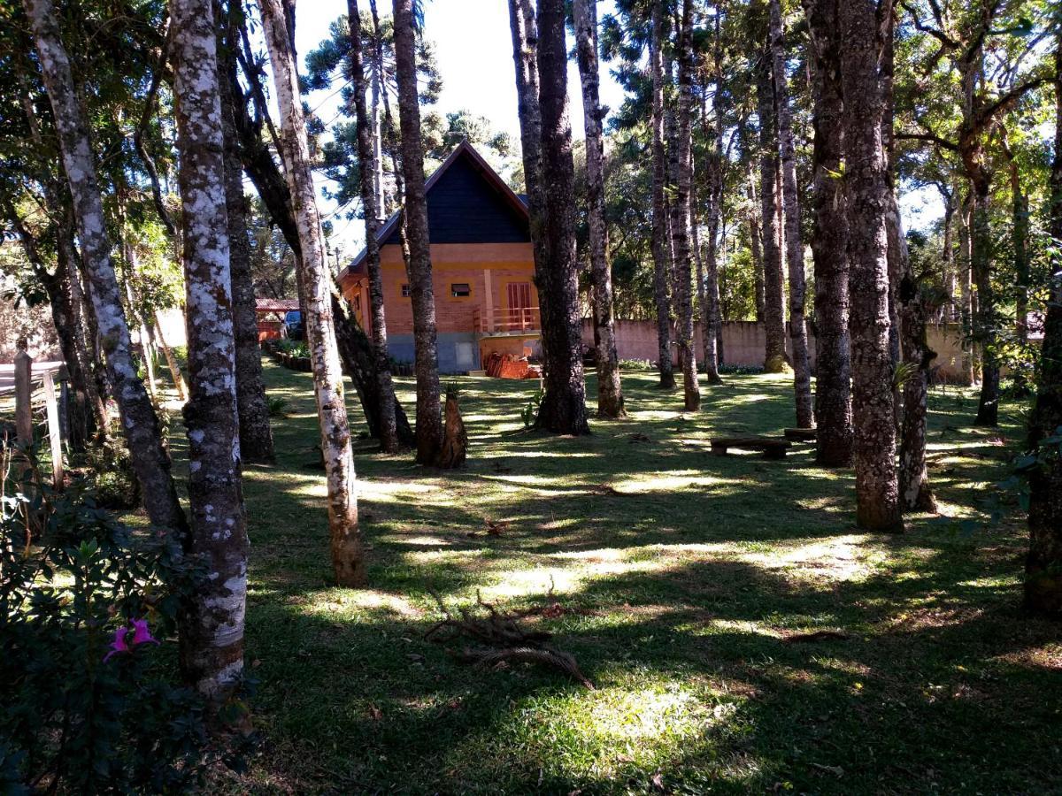 Bosque Araucarias * Campos do Jordão