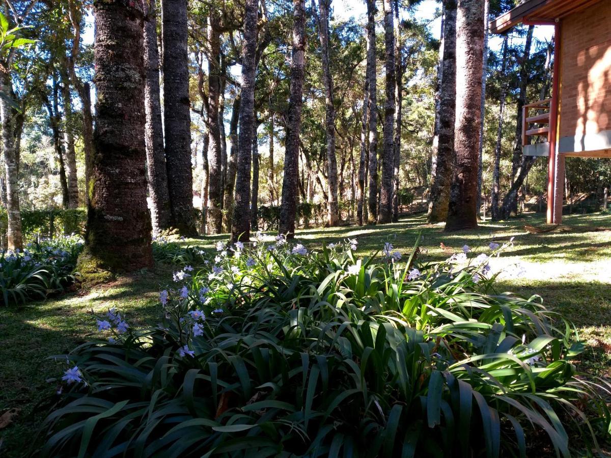 Bosque Araucarias Casa de férias Campos do Jordão
