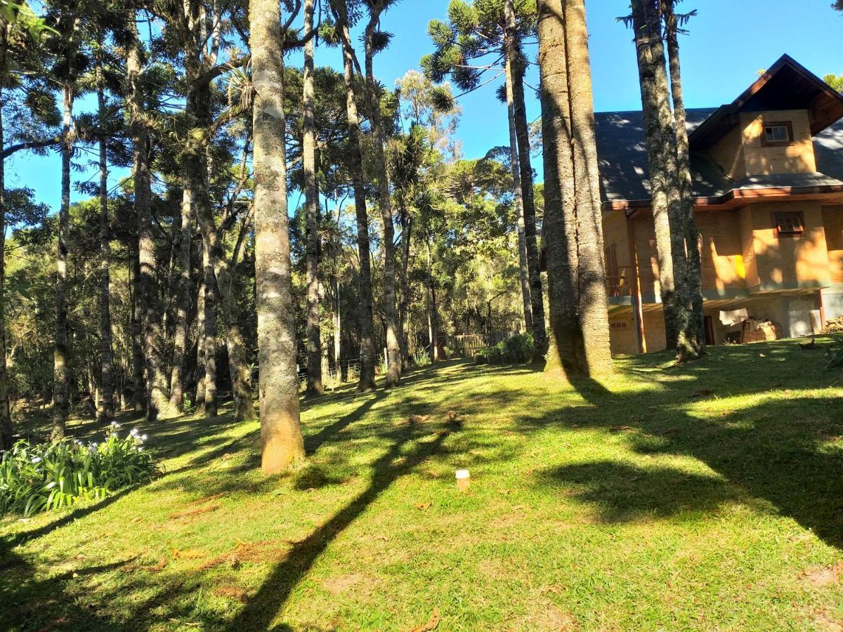 Bosque Araucarias * Campos do Jordão
