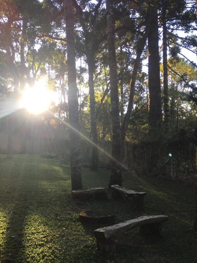 Bosque Araucarias
