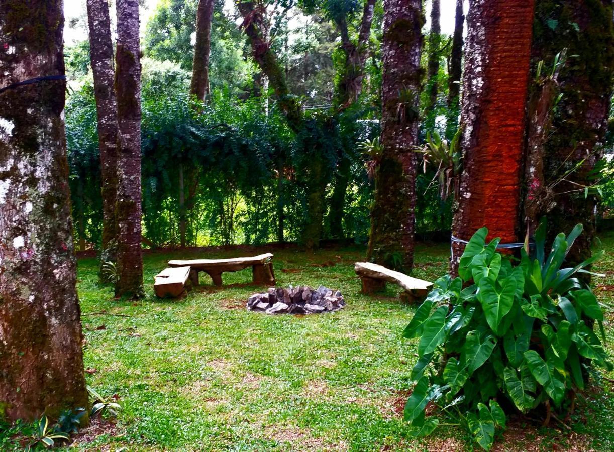Bosque Araucarias Casa de férias Campos do Jordão