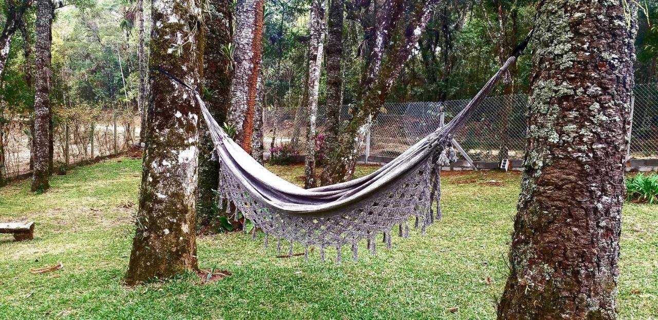 Bosque Araucarias