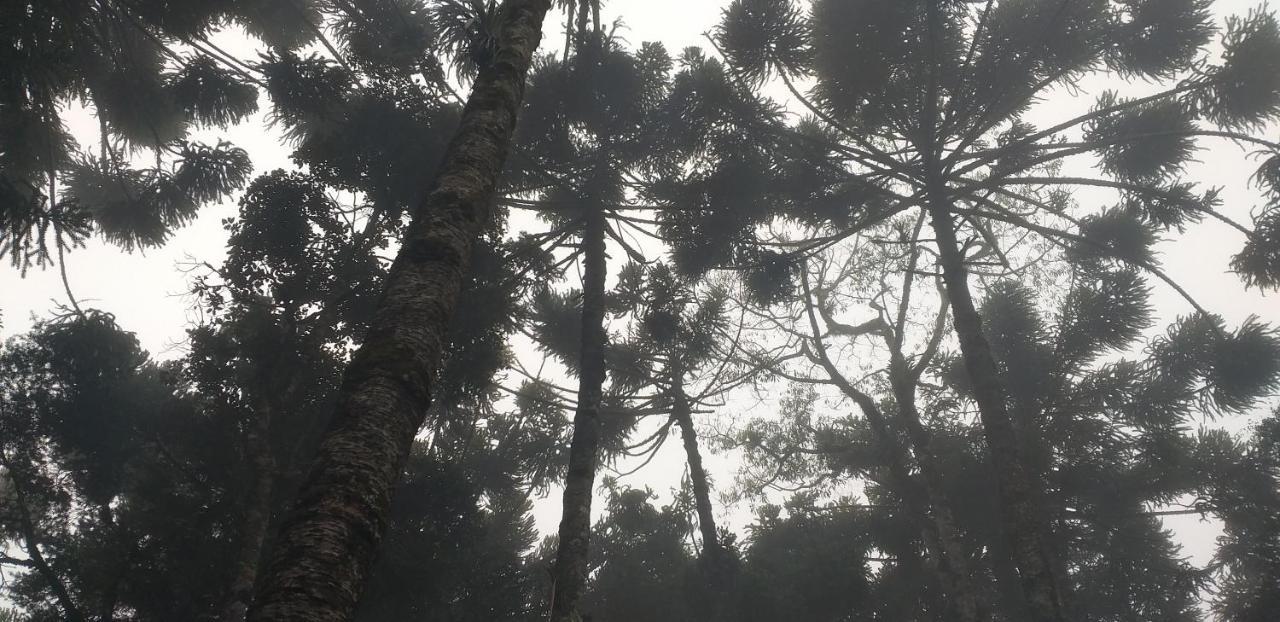 Casa de férias Bosque Araucarias