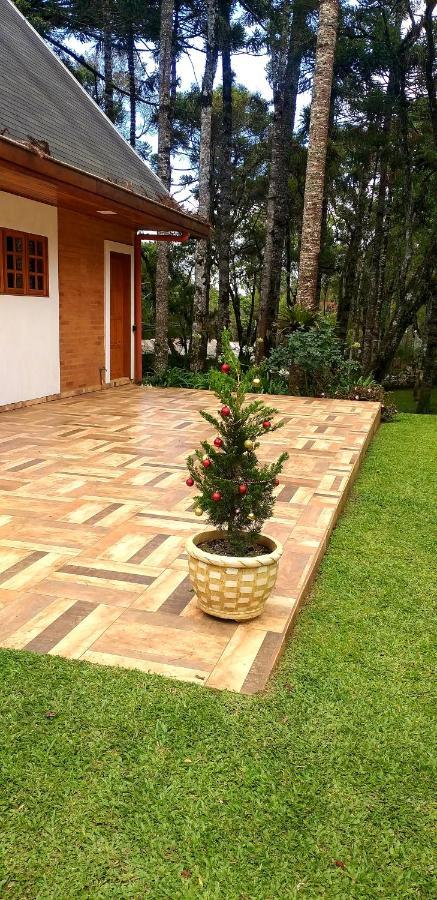 Bosque Araucarias Casa de férias Campos do Jordão
