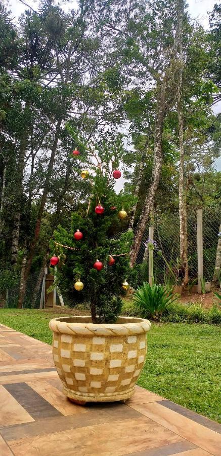Bosque Araucarias Casa de férias Campos do Jordão