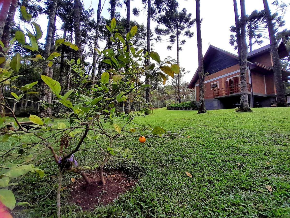 Bosque Araucarias * Campos do Jordão