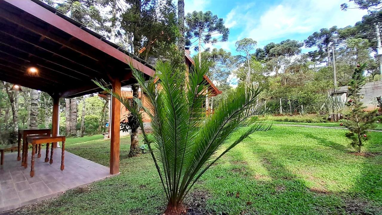 Bosque Araucarias