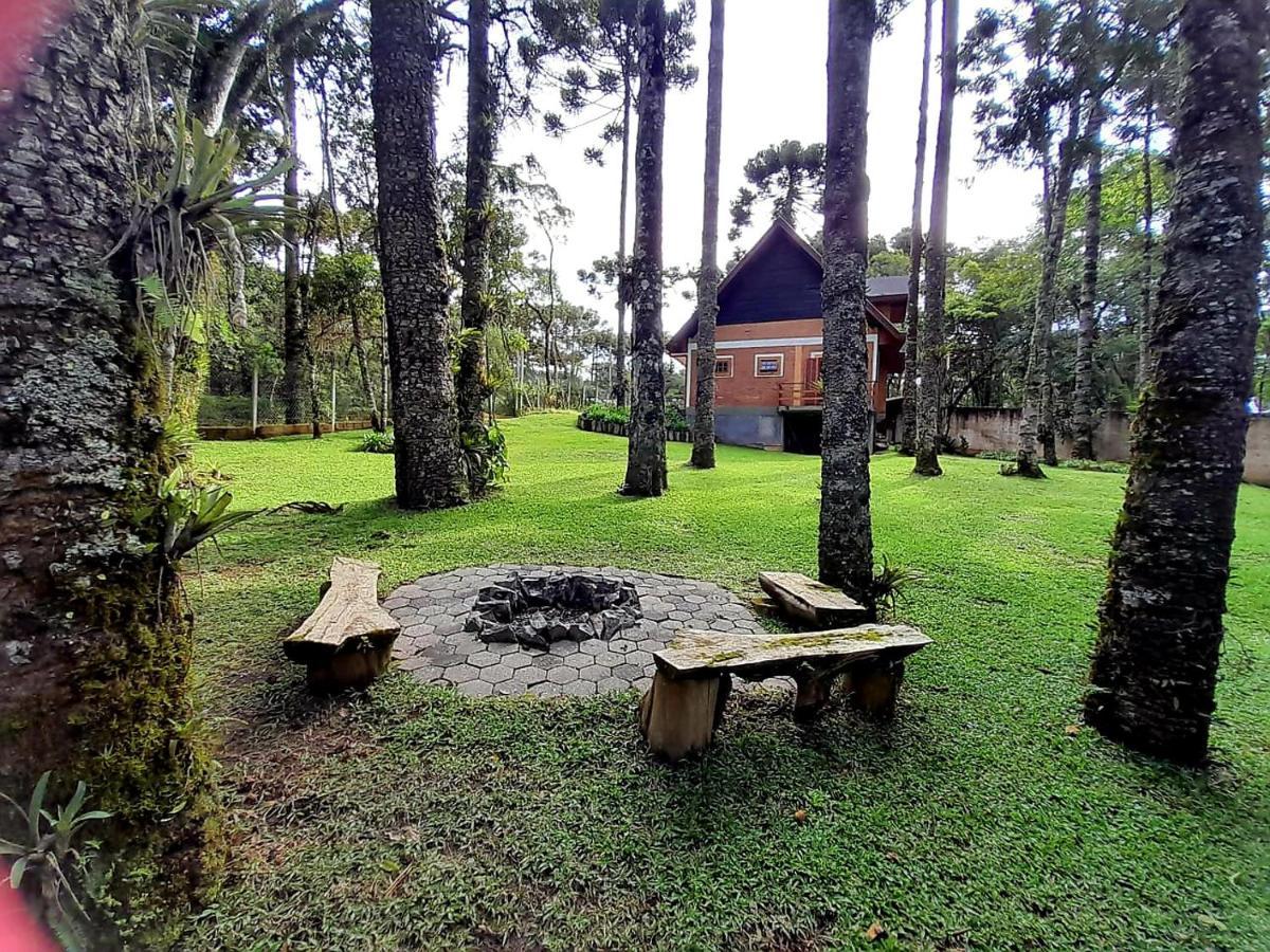 Bosque Araucarias Campos do Jordão